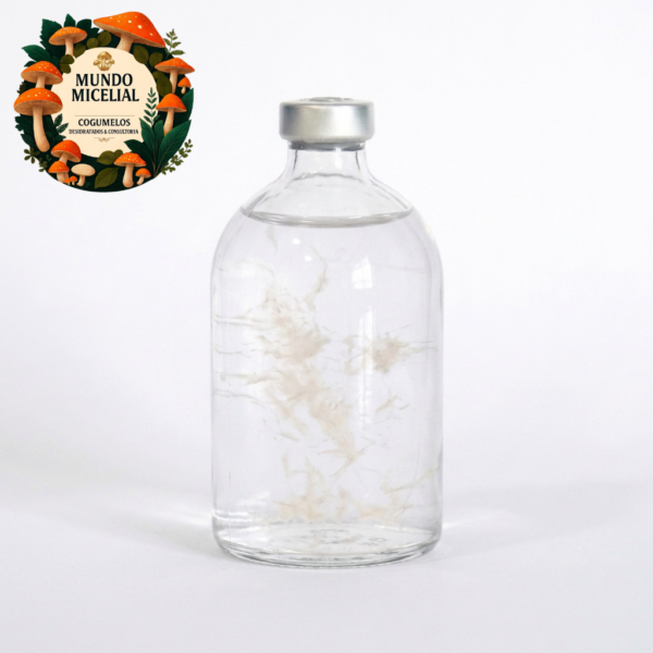 cl100 Amostra Taxonômica Cultura Líquida Psilocybe cubensis var. Gepeto (100 ml)