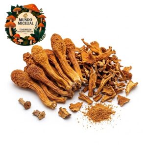 cordyceps militaris Cogumelo Cordyceps Militaris Desidratado